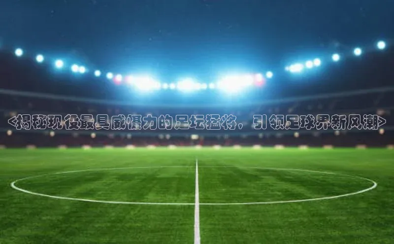 南宫28娱乐相信品牌的力量宣亚国际<揭秘现役最具威慑力的足坛猛将，引领足球界新风潮>