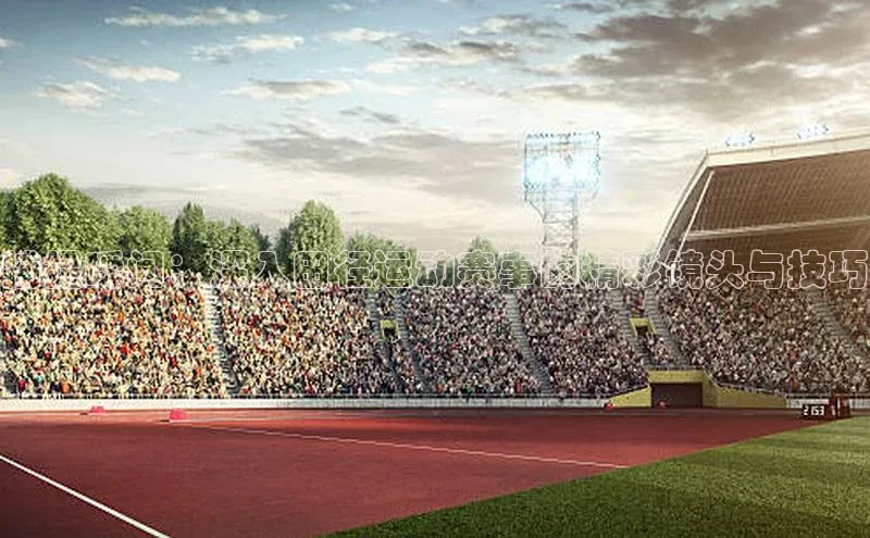 NG体育·南宫官方网站网易捕捉瞬间：深入田径运动赛事的精彩镜头与技巧