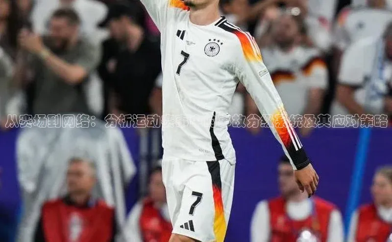 NG28网页版神思电子从赛场到网络：分析运动赛事中的事故分级系统及其应对策略