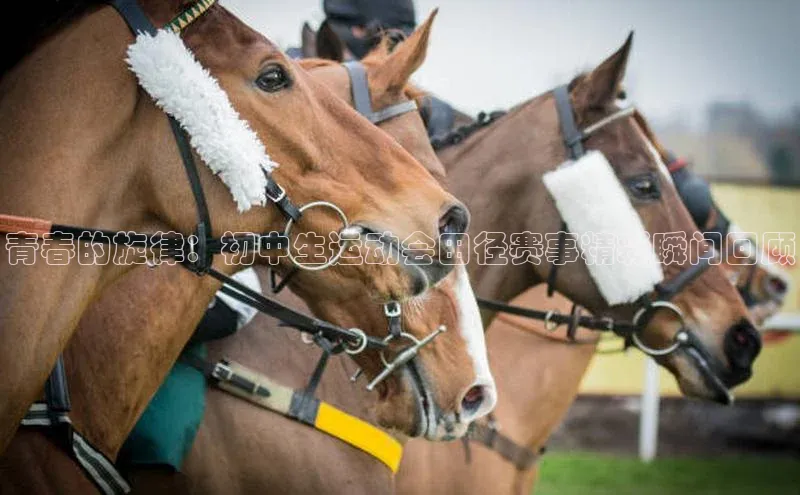 青春的旋律：初中生运动会田径赛事精彩瞬间回顾