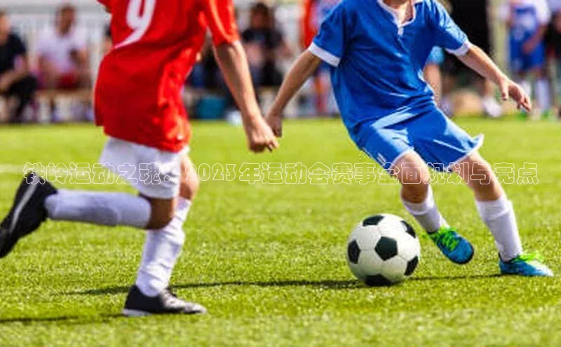 铁岭运动之魂：2023年运动会赛事全面规划与亮点