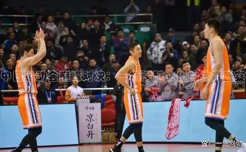 中日运动会巅峰对决：一场跨越文化的体育盛宴