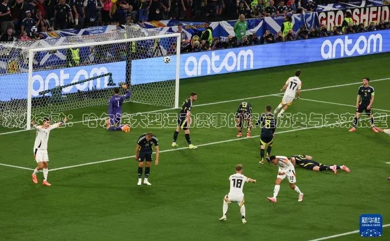 冰火交融：哈尔滨大型运动赛事的辉煌历史与未来展望