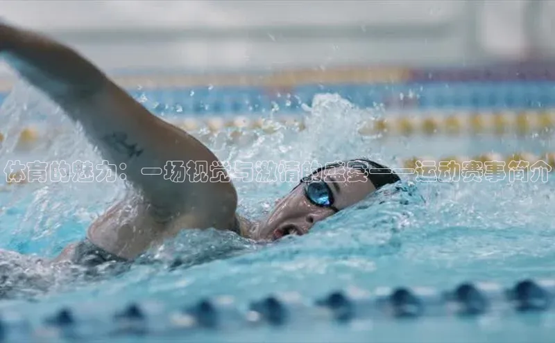 体育的魅力：一场视觉与激情的盛宴——运动赛事简介