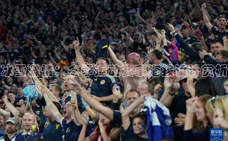 冰雪激情：冬季运动赛事海报设计赏析