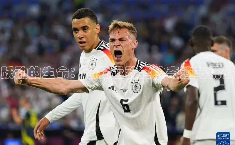 跃动的生命：动物运动会的奇迹与挑战