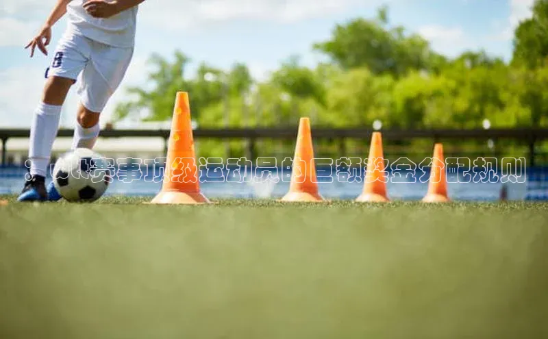 ：wtt赛事顶级运动员的巨额奖金分配规则