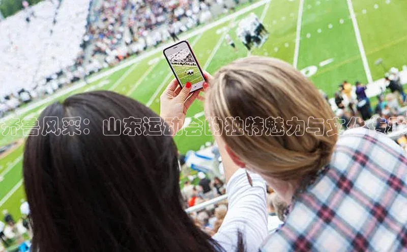 齐鲁风采：山东运动会的独特魅力与文化传承