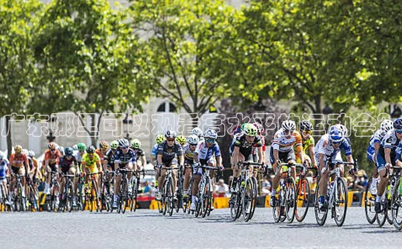 广东哪里可以观看高水平的运动会？