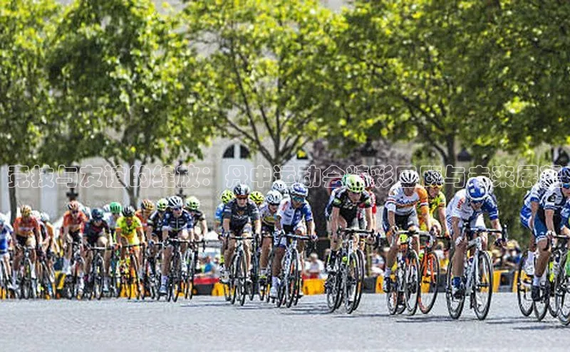 竞技与友谊的绽放：丹中运动会精彩回顾与未来展望