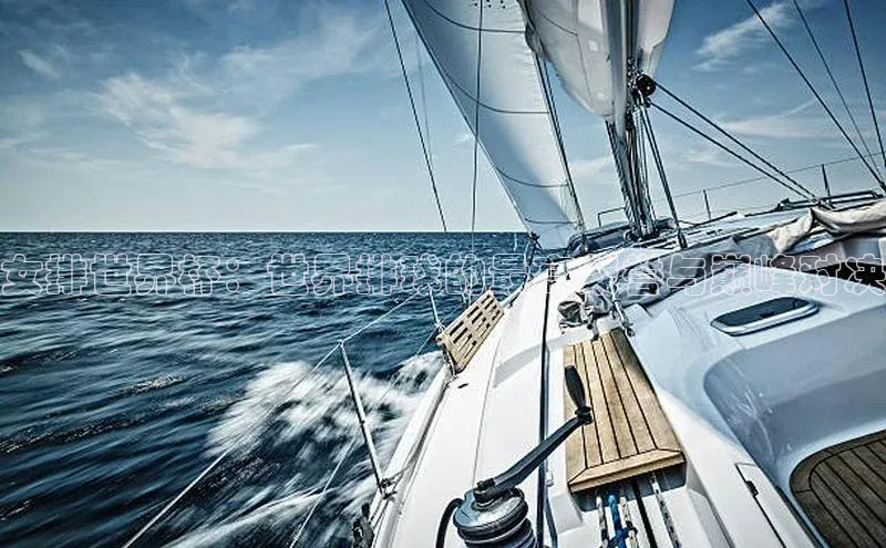 女排世界杯：世界排球的最高荣誉与巅峰对决