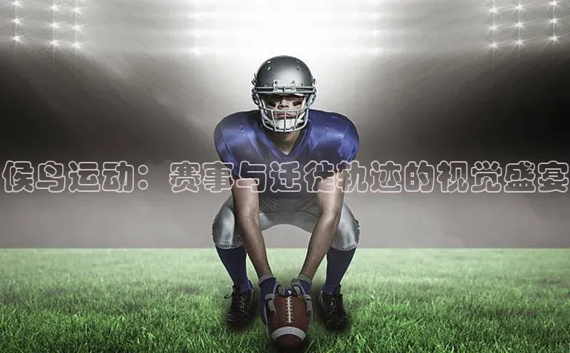 候鸟运动：赛事与迁徙轨迹的视觉盛宴