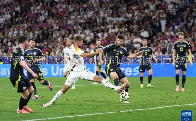 运动赛事术语详解：从A到Z的国际语言游戏