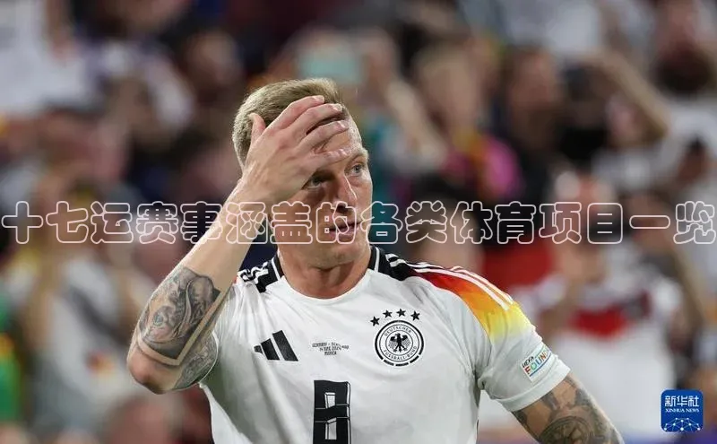 十七运赛事涵盖的各类体育项目一览