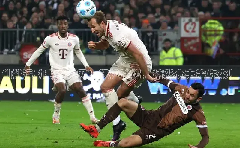 仙桃运动赛事官网：轻松注册，精彩赛事等你来！