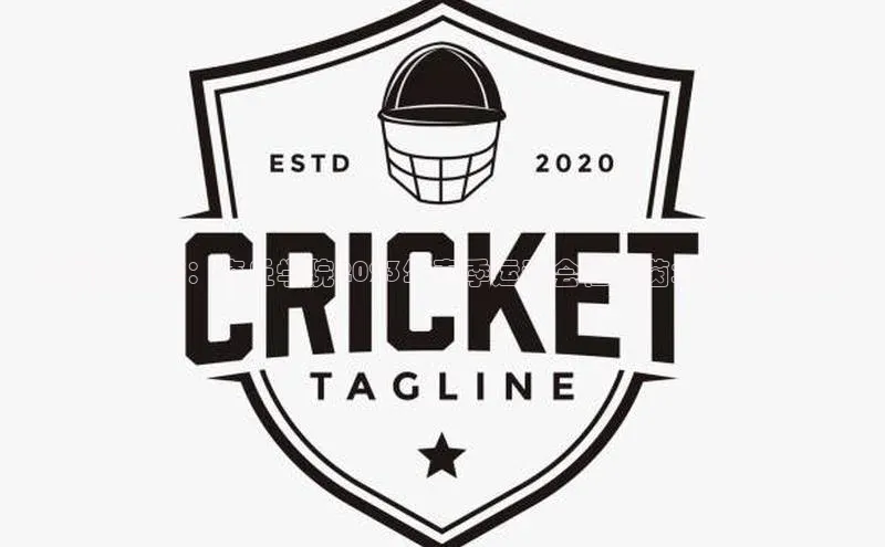 闪耀的光芒：商丘学院2023年春季运动会在绿茵场上熠熠生辉